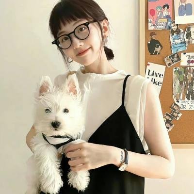 14个摄像头