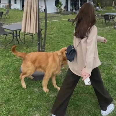 出租老爸